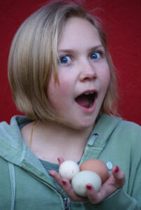 Lessons Learned From Our Flock Image